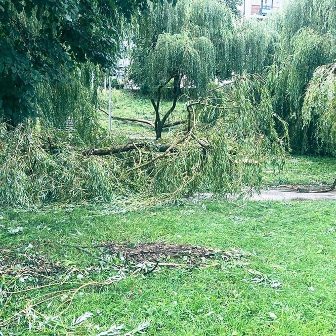 Armagedon w Kielcach i Świętokrzyskiem! Nawałnica wyrządziła dużo szkód