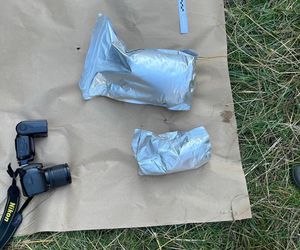 Gigantyczna plantacja konopi zlikwidowana. Policja zabezpieczyła marihuanę, kokainę, broń i amunicję