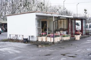 Giełda kwiatowa na Drodze Dębińskiej