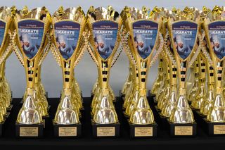 VI Otwarte Mistrzostwa Wilkopolski w Karate Tradycyjnym