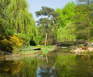 Ogród Botaniczny we Wrocławiu