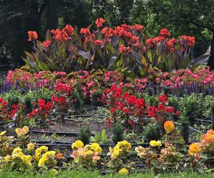 Spacer przez muzyczne serce Bydgoszczy. Park Kochanowskiego zachwyca historią i klimatem