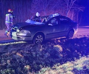 Samochód zderzył się z łosiem. Dwie osoby w szpitalu