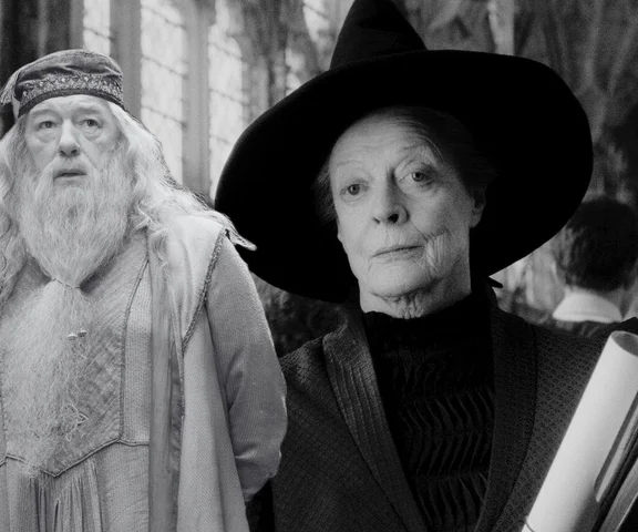 Te gwiazdy Harry’ego Pottera odeszły na zawsze. Wspominamy 27 niezapomnianych twarzy