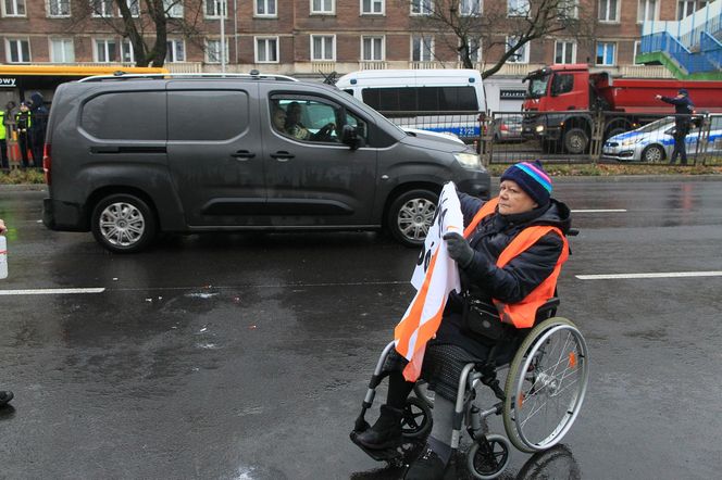 Ostatnie Pokolenie zablokowało Wisłostradę. Furia kierowców. Matka chorego dziecka błagała o przejazd