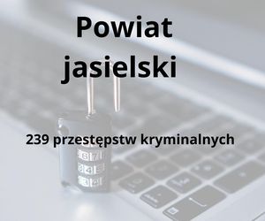 To tu na Podkarpaciu dochodzi do największej liczby przestępstw kryminalnych