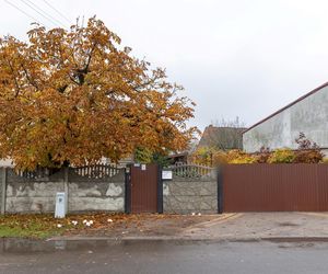 Strzelanina w Wielkopolsce! Policja zatrzymała pięć osób