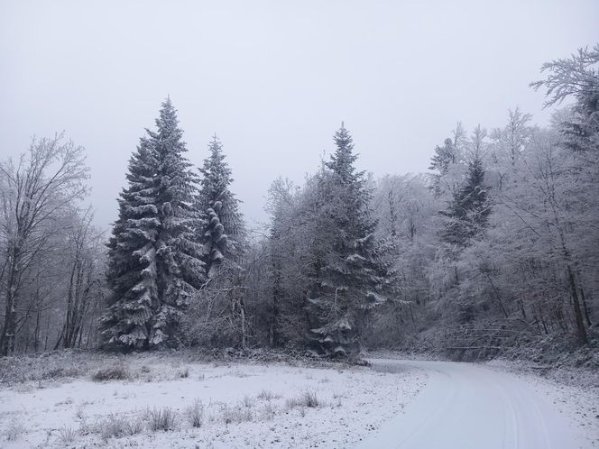 Zima w Bieszczadach 