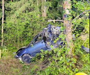 Kierowca seata nie żyje. Auto roztrzaskało się na drzewie. Tragiczny wypadek na DK 65