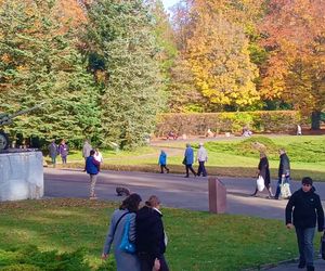 1 listopada na Cmentarzu Centralnym w Szczecinie