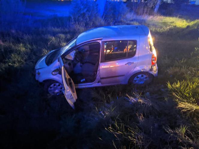 Knyszyn-Zamek: Kierowca renault miał 4 promile. Skończył w rowie