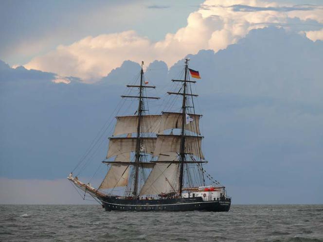 ParadaZagleGdyni2014_FotMZwierz_710389