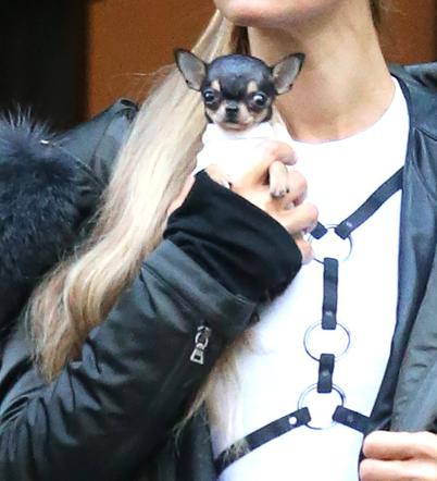 Paris Hilton