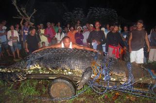 Filipiny: Krokodyl GIGANT złapany 