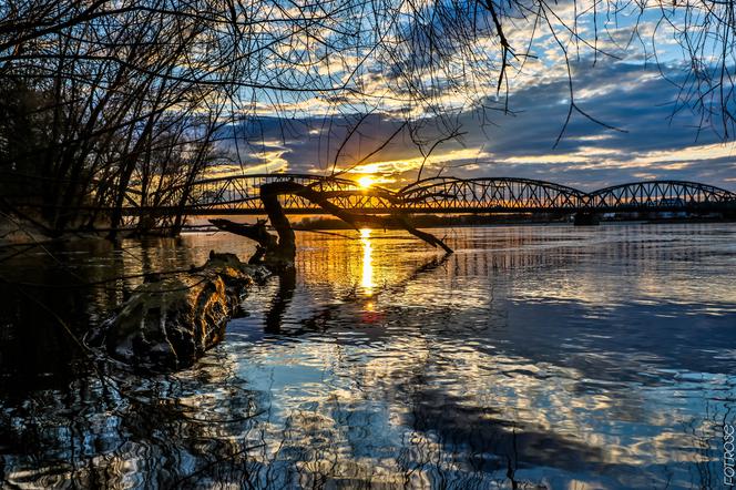 Zapadła decyzja w sprawie tymczasowego mostu w Toruniu!