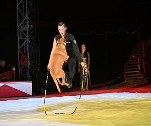 Wielka gala w Cyrku Zalewski. Zwycięzcy festiwalu 2024