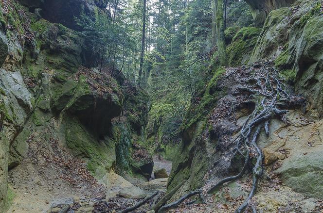 To miasto w Małopolsce jest kolebką turystyki. Legenda głosi, że założył je stryj Mieszka I