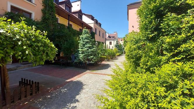 Zamość