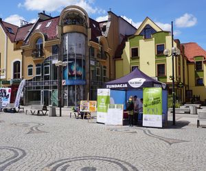 Święto Muzyki 2025. Olsztyn zamienił się w radosne miasto muzyki!
