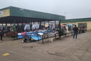 Ceny karpia w Olsztynie. Karp towarem luksusowym w Olsztynie? W wielu sklepach tej ryby nie dostaniesz