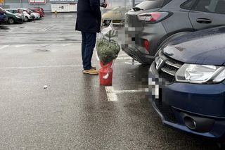 Przemysław Czarnek kupuje choinkę dla wnuka