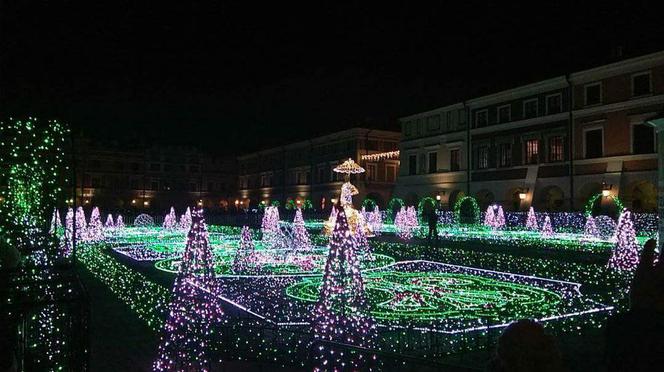 Zamość Świetlną Stolicą Polski