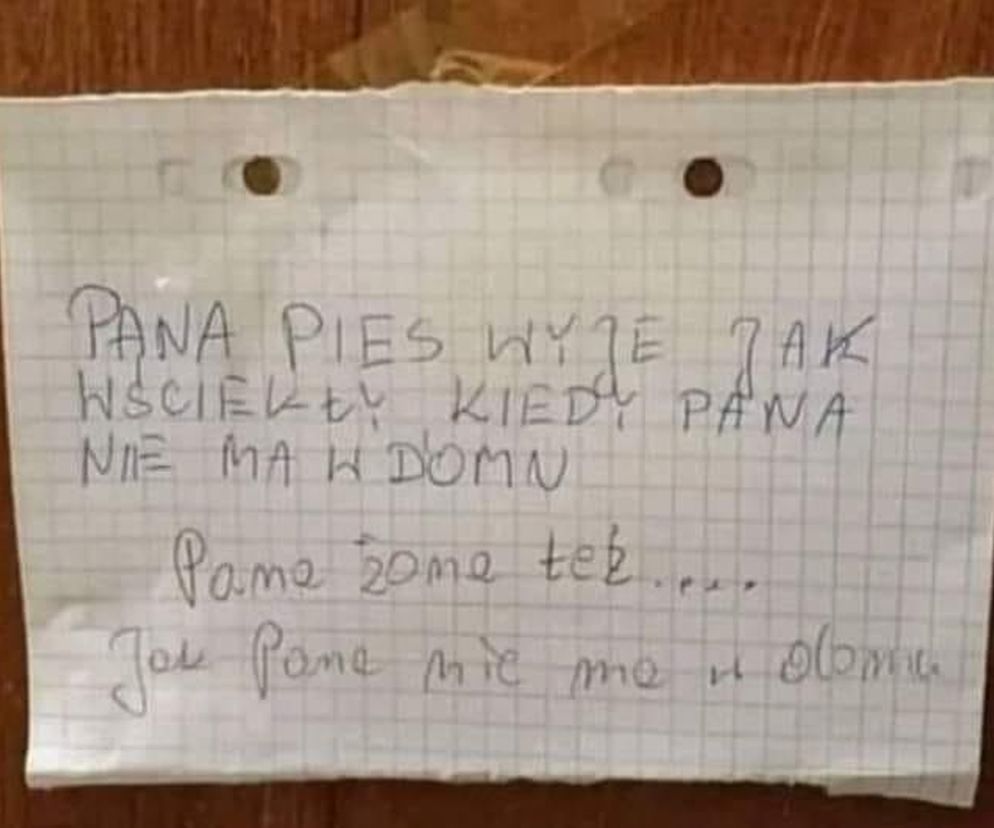 Ogłoszenia na klatkach schodowych