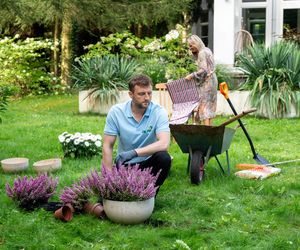 M jak miłość, odcinek 1767: Bartek rozkręci się w roli bawidamka. Zostanie kochankiem Doroty na wyłączność - ZDJĘCIA