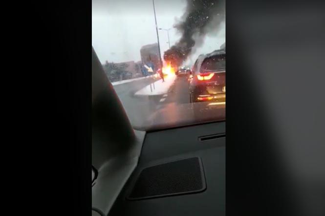 Poranny pożar samochodu na alei Rejtana w Rzeszowie. Samochód spłonął oszczętnie