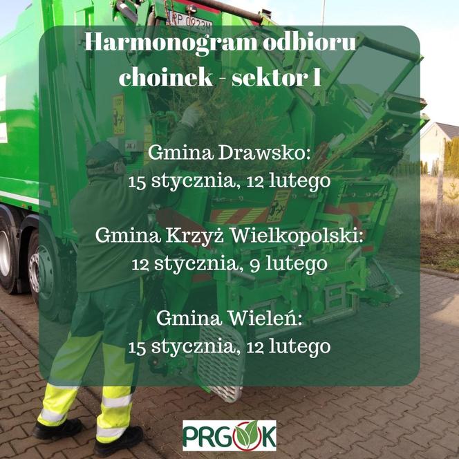 Znamy tegoroczny harmonogram odbioru choinek