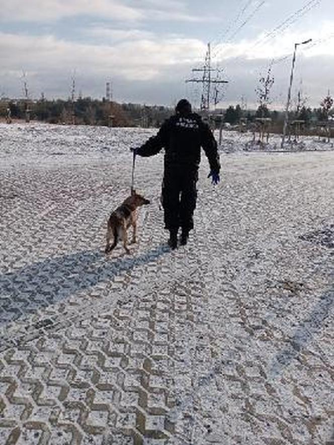 Strażnicy miejscy uratowali starszą kobietę