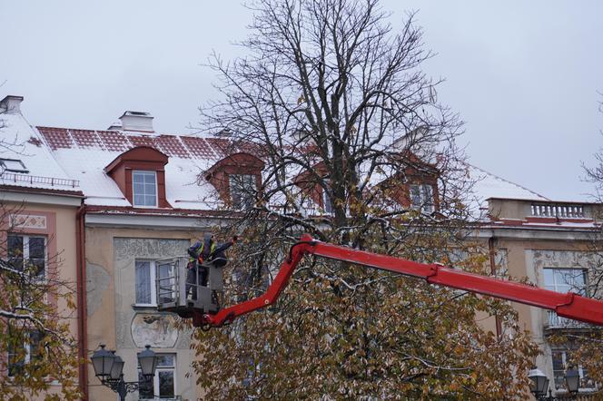 Białystok pod śniegiem. W mieście pojawiły się pierwsze świąteczne ozdoby