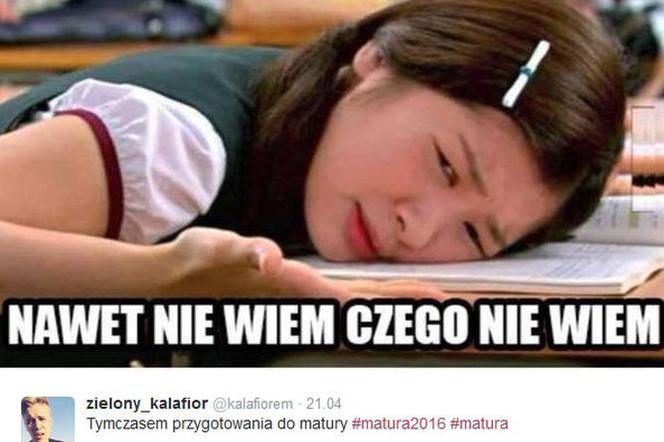 Matura 2017 polski