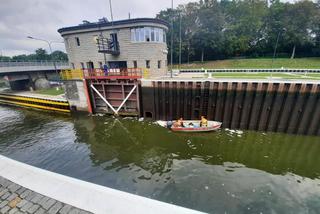 Zatruta Odra. Kanał Gliwicki jest zanieczyszczony
