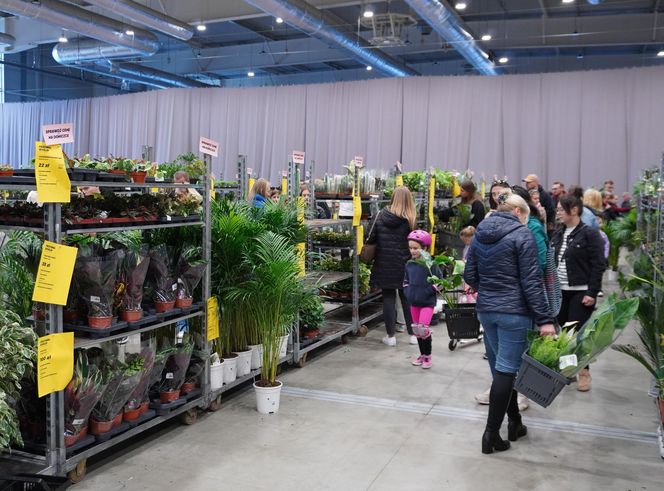 Największy targ roślin doniczkowych ponownie w Lublinie