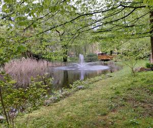 Ogród Botaniczny UKW jest jak nowy. Sprawdźcie, co się tam zmieniło!