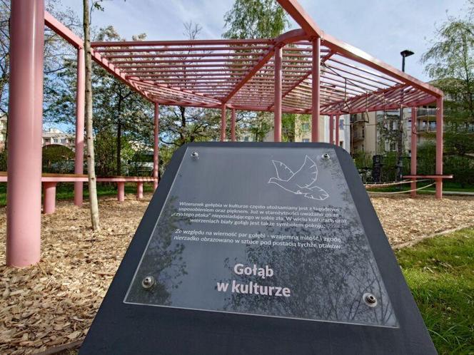 Nowy park kieszonkowy w Krakowie. Tak wygląda Gołębi Ogród Krakowian