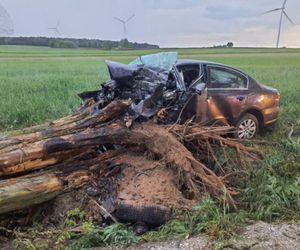 Tragedia pod Skierniewicami. 28-letni kierowca zginął po zderzeniu z drzewem