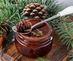 Cudowny środek na infekcje, niestrawność i zapalenie pęcherza. Leśnicy zdradzili przepis