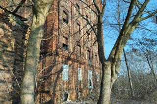 Młyn Michla na Pradze-Północ w Warszawie