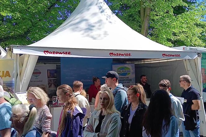 Piknik nad Odrą