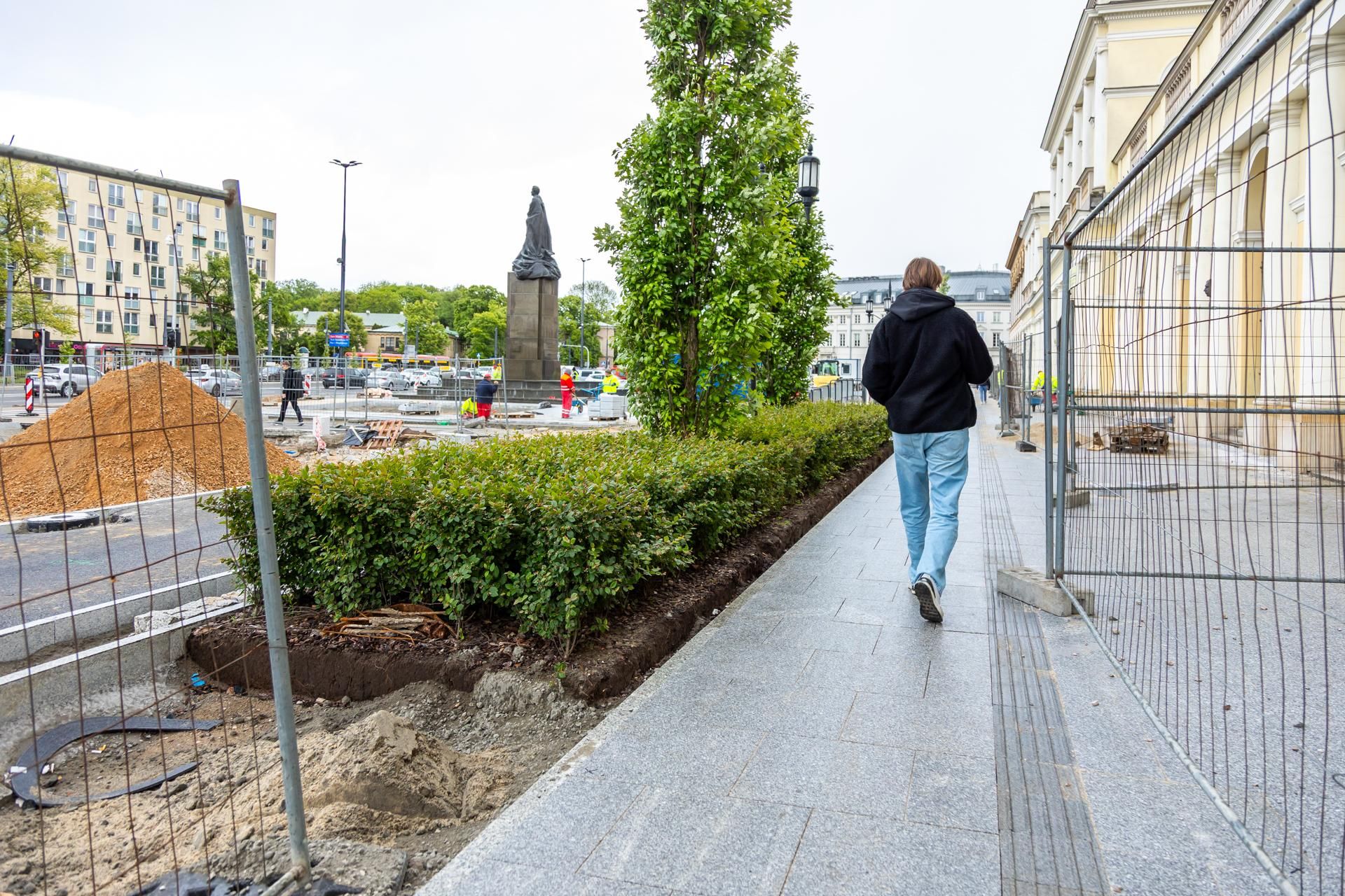 Sadzenie zieleni na placu Bankowym w maju 2025 r.