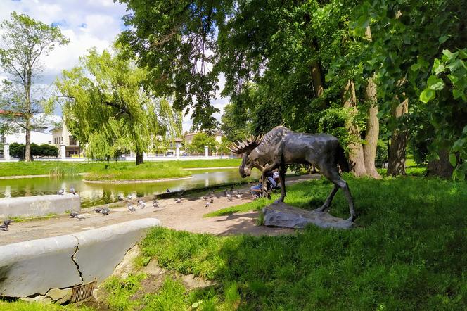 Park Miejski Aleksandria w Siedlcach