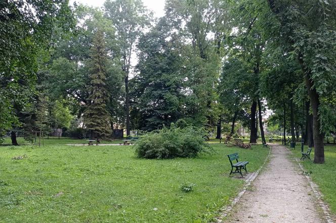 Park Rogozińskich