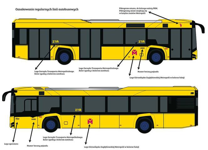 Kolor autobusów