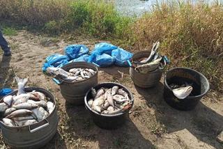 Odra zatruta. Trwają śledztwa. Kilka miast zagrożonych, ostrzeżenia dla mieszkańców