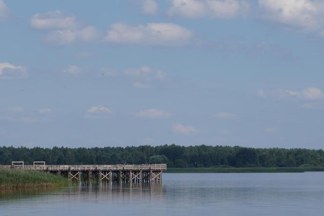 Podlaska Atlantyda, czyli Zalew Siemianówka i okolice