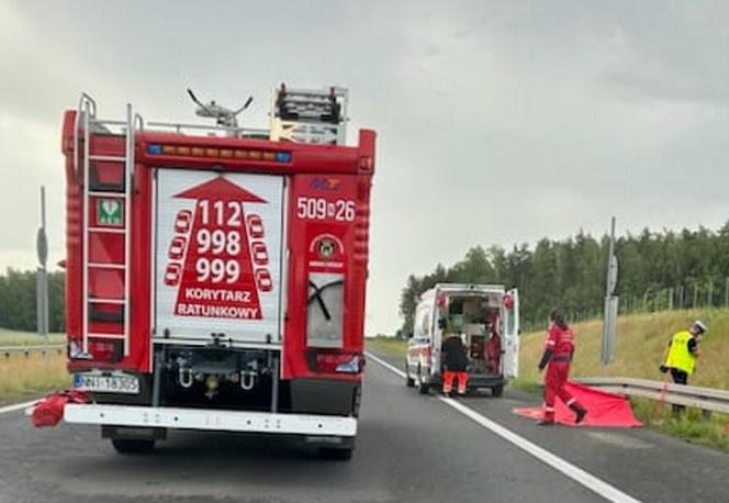 Śmiertelny wypadek na S7! Dwóch mężczyzn nie żyje. Bus huknął w bariery i wpadł do rowu [ZDJĘCIA]