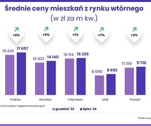 Ceny mieszkań z rynku wtórnego - lipiec 2024 [RAPORT]