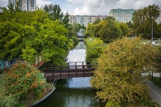 Projekt nowych Stawów Brustmana na Bielanach